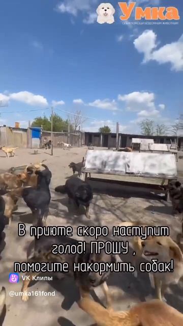 #SOS 320 хвостиков хотят кушать!!!