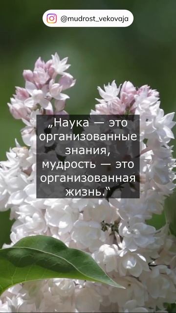 Цитаты немецкого философа Иммануила Канта.