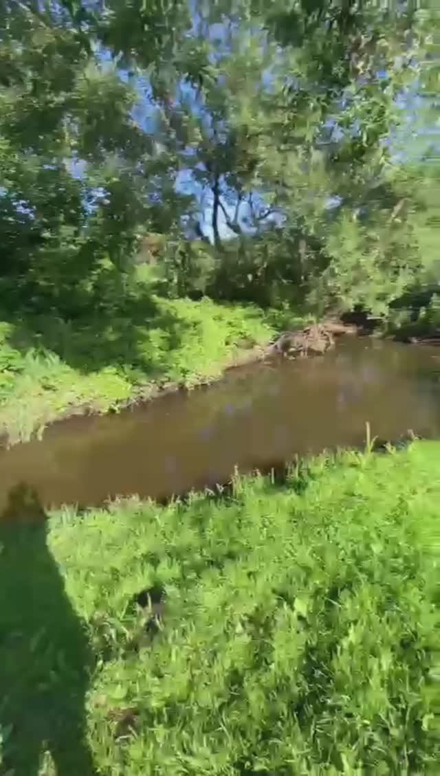 Дача