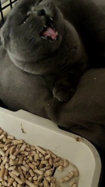 1000158353.mp4