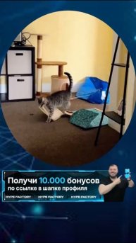 Hype Factory ссылка в шапке профиля #vrek #hymor #memes #top #vrecomendacii #Hype Factory #мемы #top