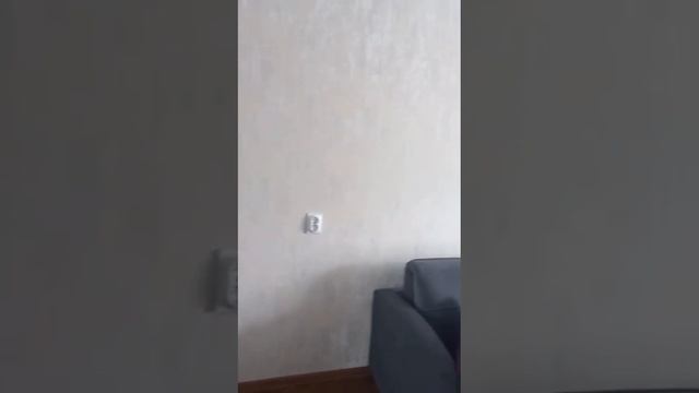 Санкт- Петербург Вяземский переулок д.6