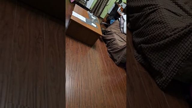 Новая мышка и ножки моей хозяйки