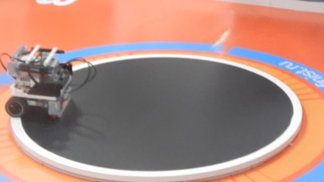 Сумо лайф