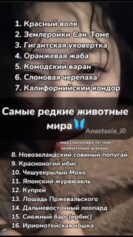 #кпоп#самые#редкие#животные#мира#уфа#россия#башкортос?