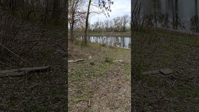 Астрахань #рыбалка#2025