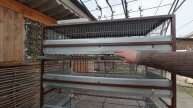 Простая и выгодная Клетка для перепелов. Чертёж.