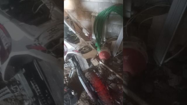 1000037126.mp4