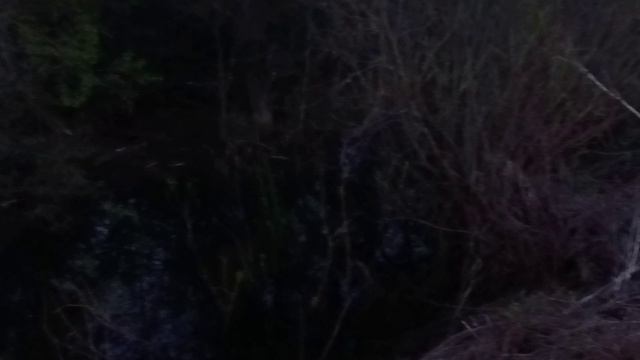 Участок мечта рыбака