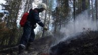 Режим чрезвычайной ситуации ввели в Амурской области из-за лесных пожаров