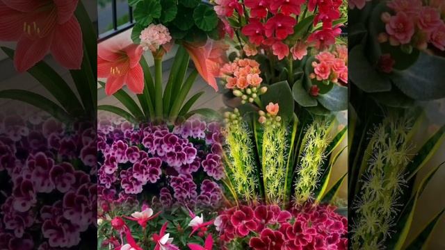 Video_2025_05_10_01_10_24.mp4