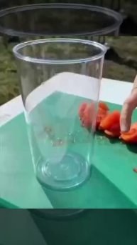Шашлык в маринаде из томатного сока с классным соусом и лавашом на углях .