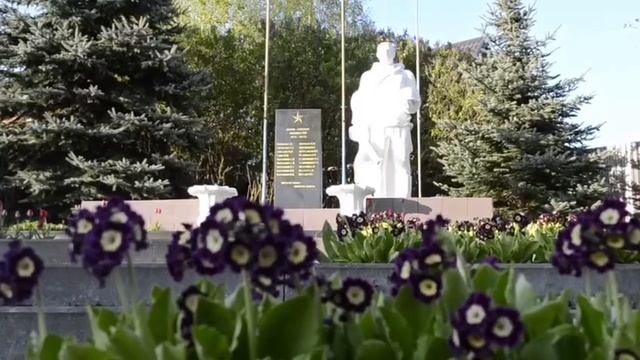 video-by-33-svfrom.net
