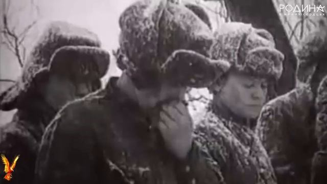 80 лет Победы в Великой Отечественной Войне, поздравляем с годом Защитника отечества! #Победа