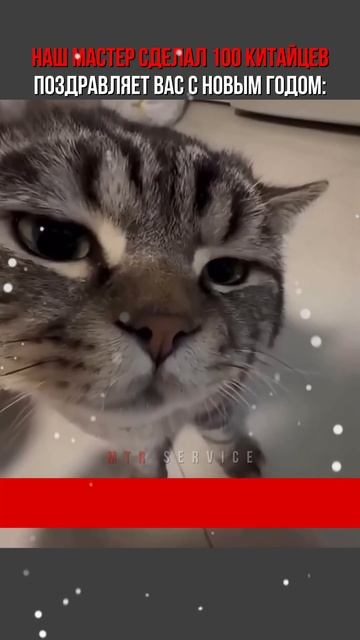 С наступающим новым годом вас! Записывайтесь на диагн?