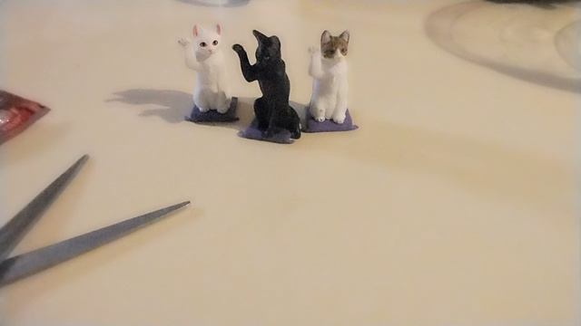 Удачливые котики распаковка котиков😺😺😺😺😺😺😺😺😺😺😺😺😺😺😺😺😸😸😸😸😸😸😸😹😹😹😹😹😹😹😻😻