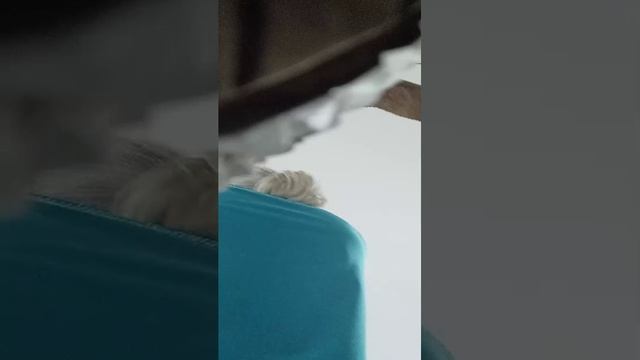 зар