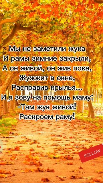 Стихи про ОСЕНЬ #втоп #рекомендации #стихи