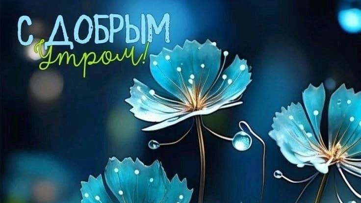 пожелание доброты..10-05-2025