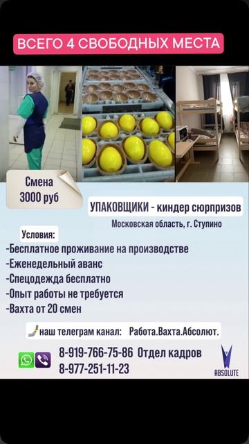 Всего 4 свободных места
