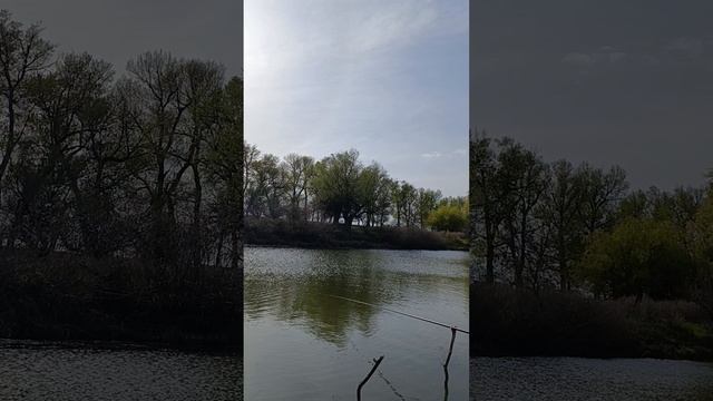 Астрахань #рыбалка#апрель2025