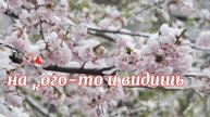 Цитаты о любви красивые слова о прекрасном чувстве