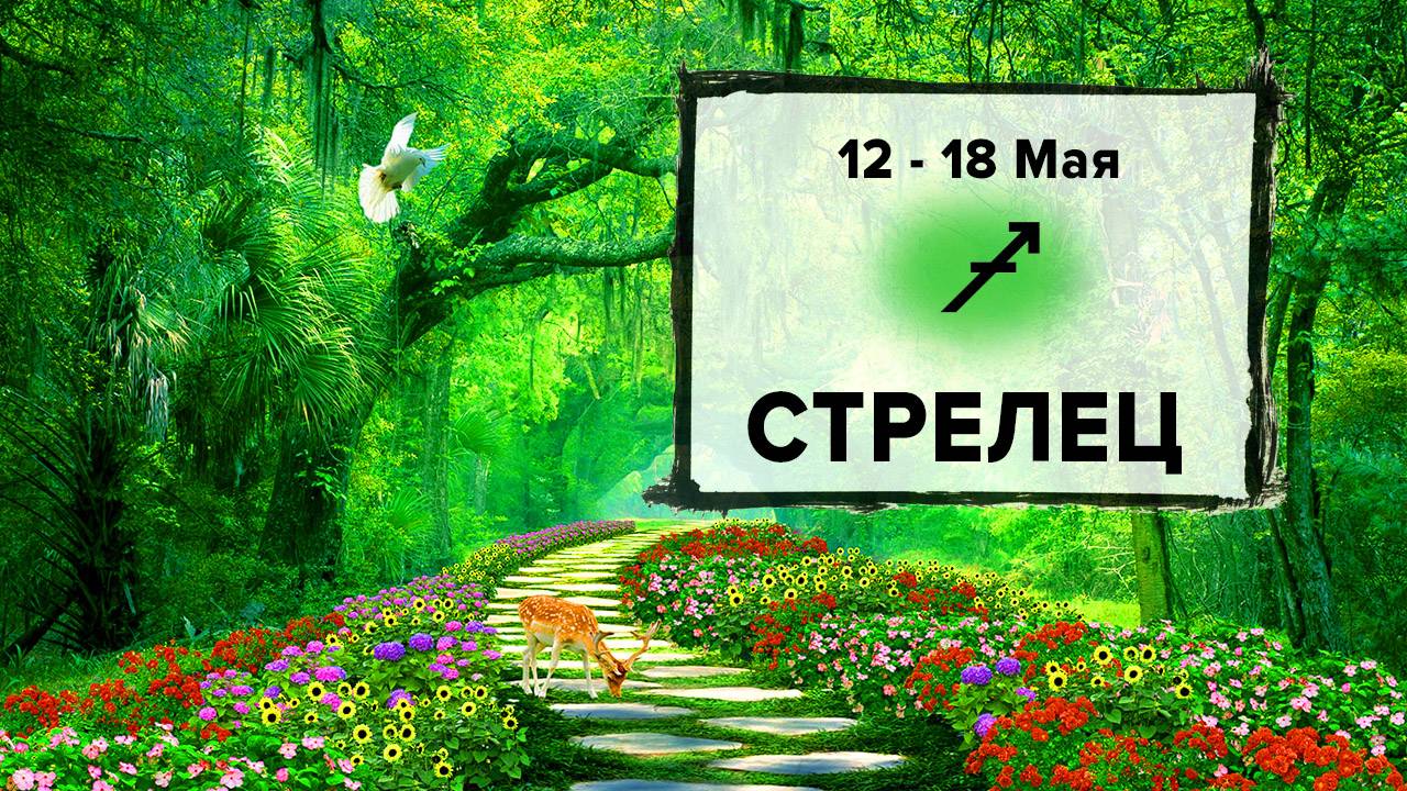 СТРЕЛЕЦ ♐ 12 - 18 Мая 2025 | Расклад таро на неделю для знака Зодиака Стрелец