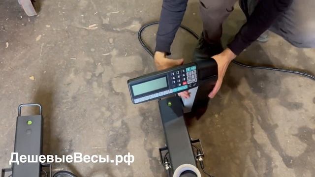 Масса-К 4D-B-12/1-1000-RL | Весы балочные с печатью