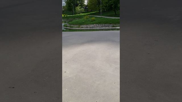 Сквер в Марьино