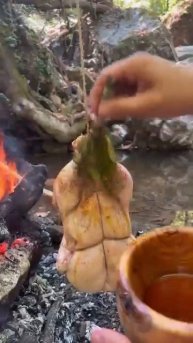 Жареная курица на природе 🐔