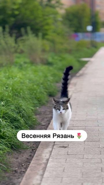 Родной город весной ❤️