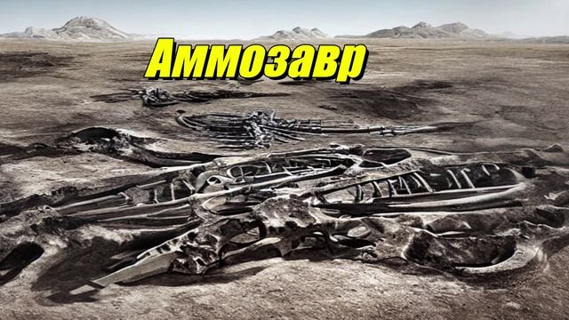 Аммозавр