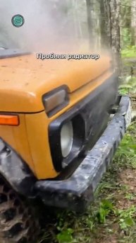 НИВА - ИГРУШКА ДЛЯ ВЗРОСЛЫХ?
#автоприколы #автоюмор #автомемы #мемы #приколы #автоподбор