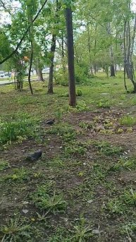 Сеня😍