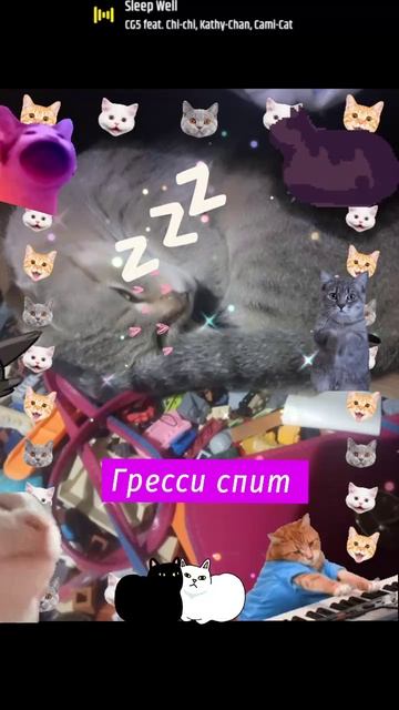 Гресси спит