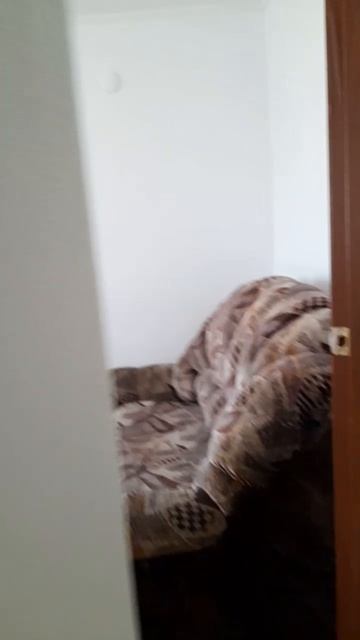 video_2025-05-10_23-49-49