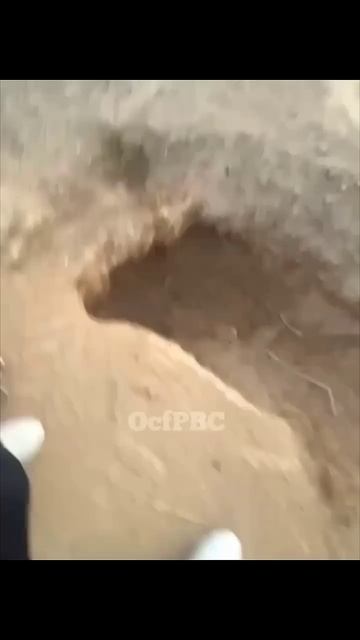 ПОБЕГ ГОТОВИТ 🥵🥵🥵У КОГО ЕСТЬ ТАКИЕ СТАРАТЕЛИ ??? #amsta