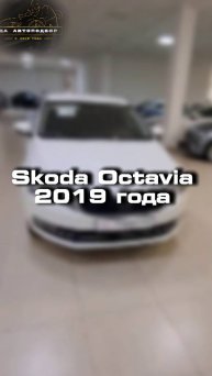 Купили бы себе Skoda Octavia?