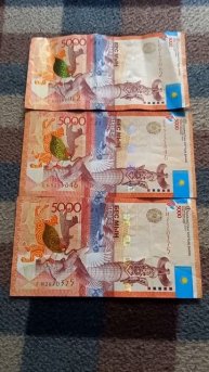 ТРИ БАНКНОТЫ 5000 ТЕНГЕ на байковой поверхности 18-ого Ию