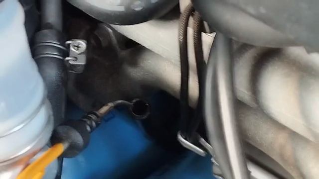 5340.mp4