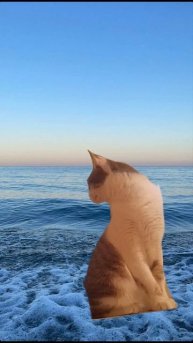 звук: @DEBATE-2-0-2-4 #cat #актив #анимация #рекомендации #хочув?