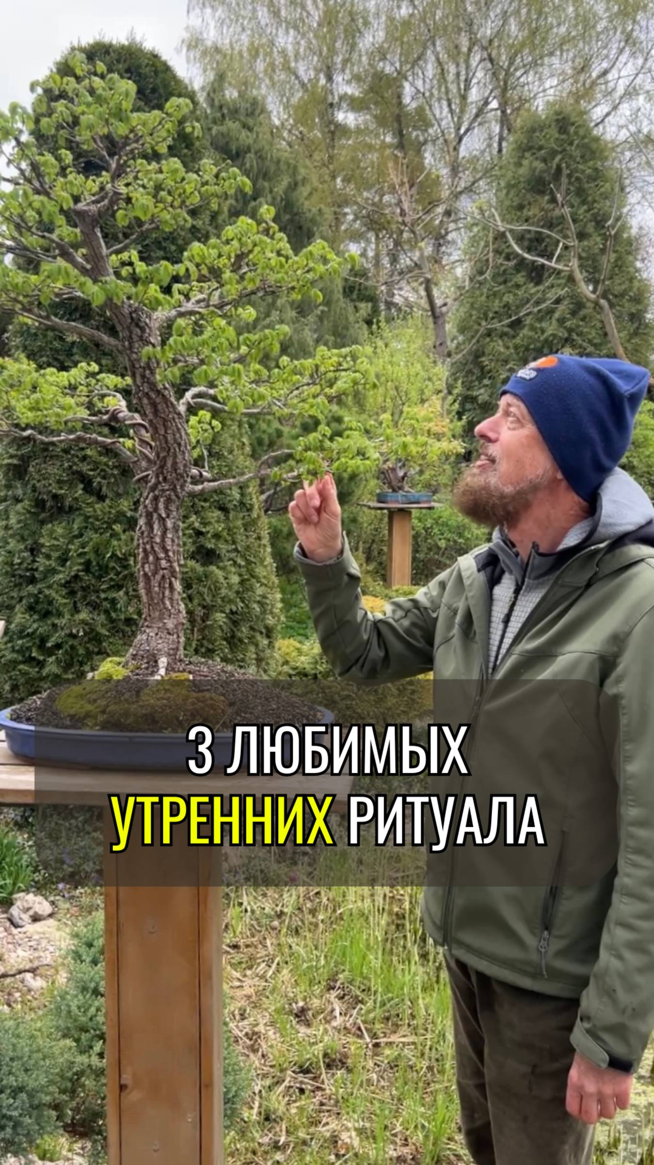 3 любимый утренних ритуала
