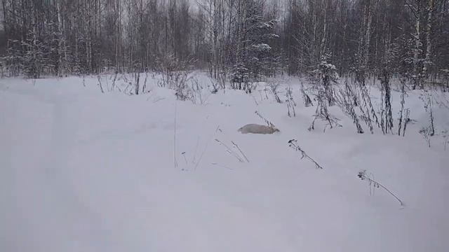 ФИЛЬМ О НАС