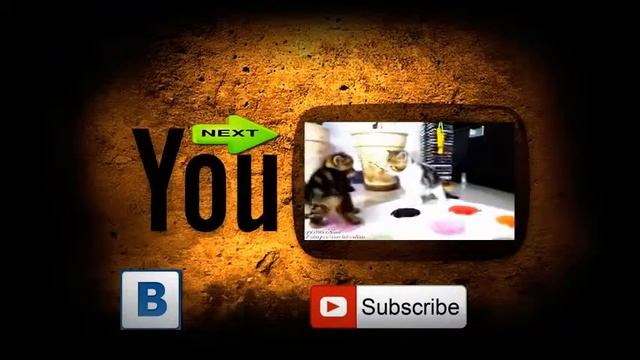 СВЕЖАЯ НАРЕЗКА ПРИКОЛЬНОГО ВИДЕО!!! ПОДНИМИ СВОЕ НАСТРОЕНИЕ