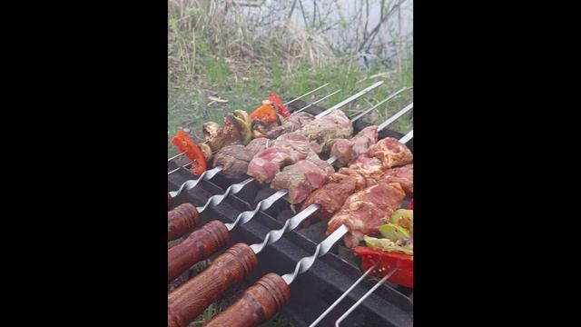 Мангал "Печенег" в деле!