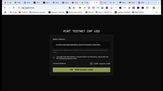 MegaETH - полный гайд по тестнету  Не пропусти новую актив