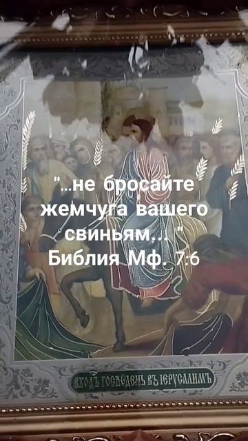 Библия. Мф. 7:6 # не бросайте жемчуга...