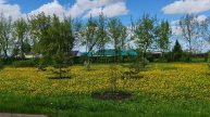 Деревенская прогулка, весенняя природа, все цветет, счастье и уют жизни в деревне