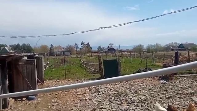 ПОБЕЛИЛА ДЕРЕВЬЯ// ПОСТАВИЛИ СЕТКУ// Жизнь в деревне//