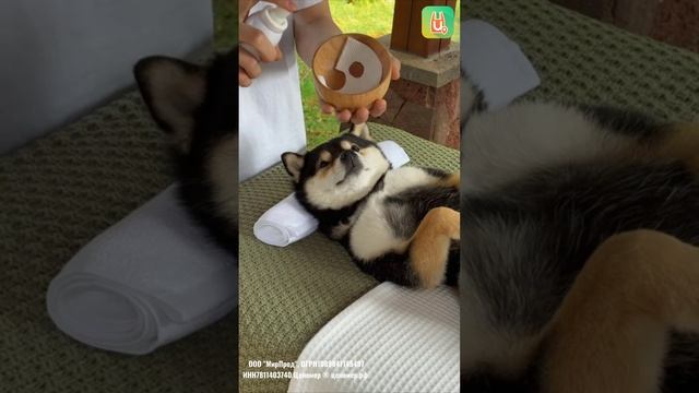 Секрет успешной жизни